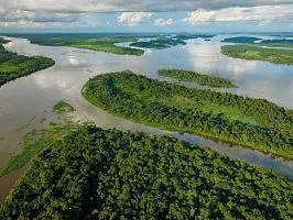 Bonobók választani szerelem, de - nem - háború - National Geographic Magyarország