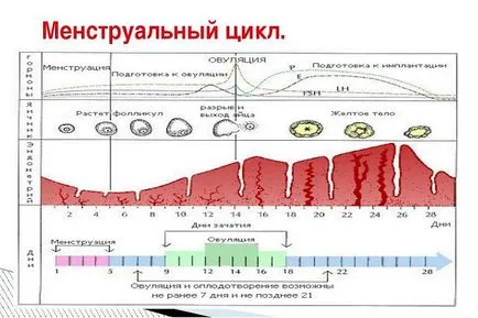 Възпалено долната част на корема и освобождаване, когато това се случва