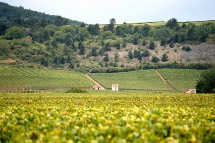 Burgundy - egy ingyenes útmutatót független utazók számára