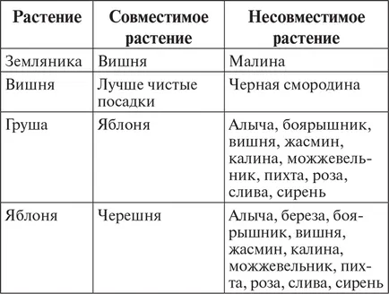 Какво да се засадят да се култивира плодородна градина