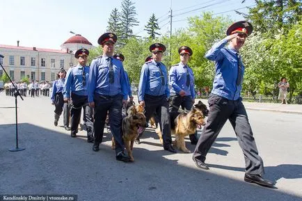 Nézd válás és a rendőrség osztagok