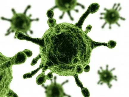 Mi az a vírus láng és hogyan kell harcolni
