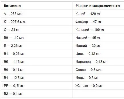 proprietăți utile Cicoare solubile și contraindicații, sănătatea și frumusețea femeii moderne