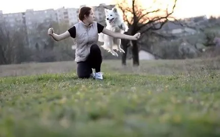 formare Spitz acasă cu fotografii și video