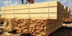 Exporturile de lemn și cherestea - cerințe, ambalaje, cererea - Info vamale