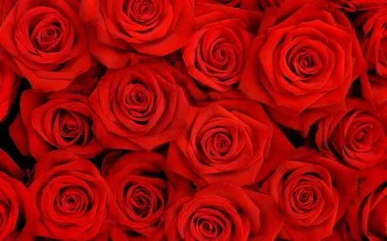 Extract de trandafir - secretul frumuseții tale!