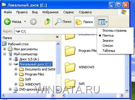 Файлове и папки, Windows XP, Windows енциклопедия