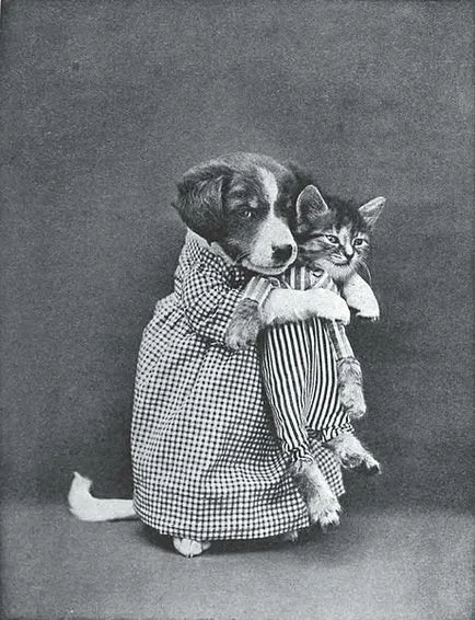 Снимки, облечени в модни дрехи животни, направени много преди появата на Интернет, къси