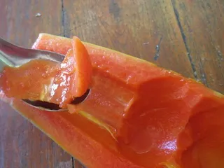 Fruit hegy papaya fotó, hasznos tulajdonságok, termesztés