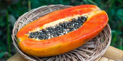 Fruit hegy papaya fotó, hasznos tulajdonságok, termesztés