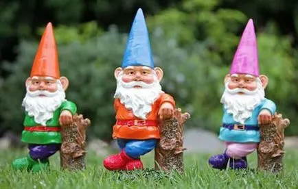 Gnome, изпълняващи желания като инструкциите за причинно-подробно и препоръки