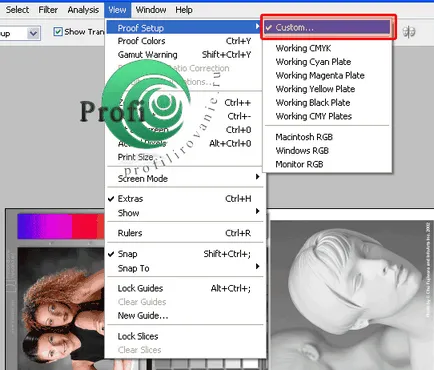 Имитация на изображението след отпечатване на екрана с помощта на цветови профил
