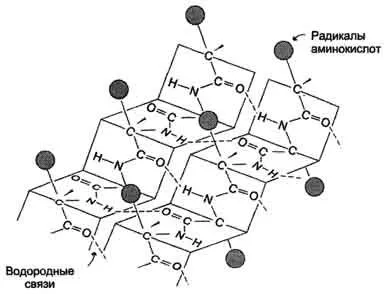 Investigarea denaturarea proteinei sub efectul detergenților neionici - abstract, pagina 1