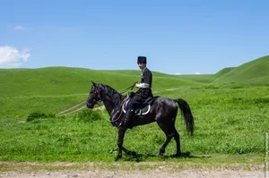 Kabarda кон на техния конкретен характер, историята на произхода и използването на кавказките