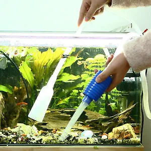 Как да се почисти аквариум у дома