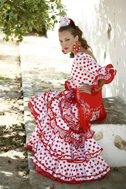 Cum functioneaza costum de flamenco