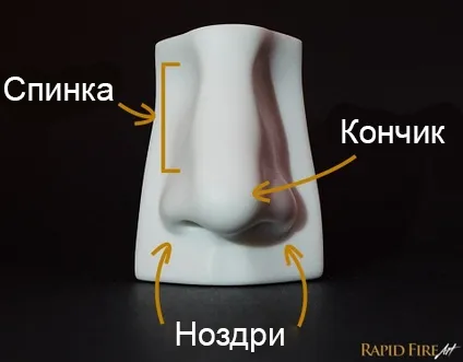 Как да се направи човек носа от предната