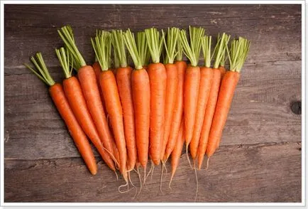Как да се намали за съхранение морков методи, препоръки