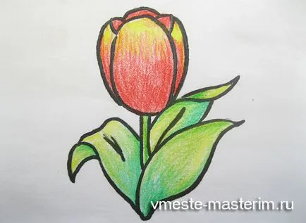 Hogyan kell felhívni a tulipán szakaszokban (master class)