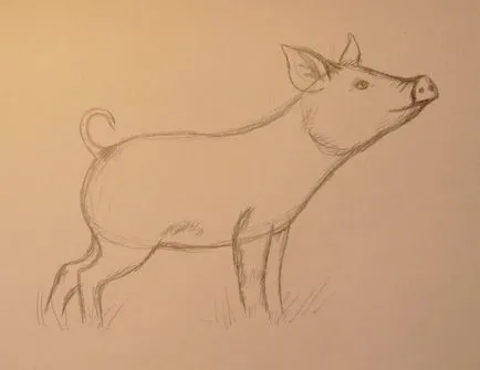 Cum de a desena un porc cum să învețe să atragă