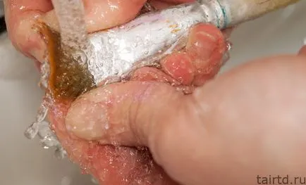Cum pot curata pensula pe vopsea acrilică ca o perie de spălare