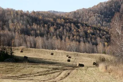 Как да се организира Ecovillage