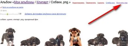 Cum să utilizați fotografiile Yandex