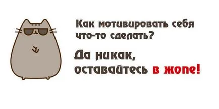 Как да се подготвите за изпита от нула до резултат за годината