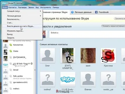 Cum pentru a vedea Skype