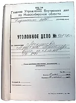 Cum se face un apel împotriva verdictului într-un caz penal - avocat Andrew S. Michon