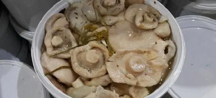 Hogyan savanyú gomba - pácolás receptek otthon meleg és hideg módja