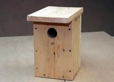 Cum sa faci o Birdhouse propriile sale mâini