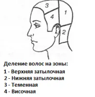 Разделянето на косата на зони