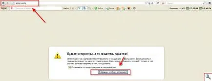 Cum se instalează bara de instrumente Google în Firefox 5 - yachaynik - site-ul pentru manechine reale