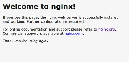 Как да инсталираме Nginx на Ubuntu