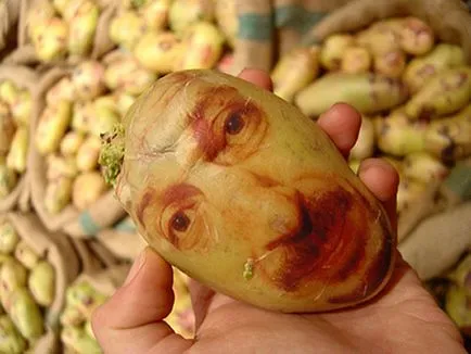 Картофи с човешко лице (etoday онлайн списание)