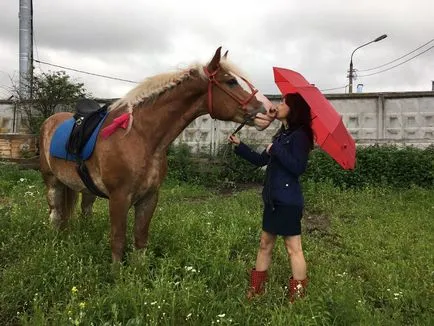 Ecvestru Club din Moscova - un cal și o iapă