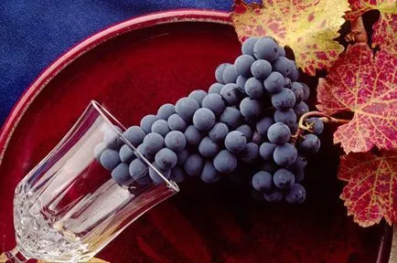 Червеното вино по време на бременност може да бъде в състояние да се пие чаша вино по време на бременност, увреждане, противопоказания