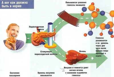 Неинсулин зависим захарен диабет