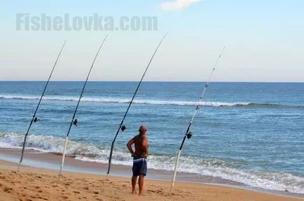 Ragályos bluefish milyen halat és milyen leküzdésére használja a halászati