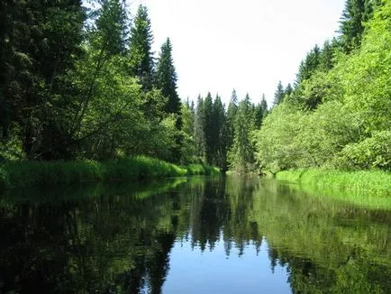 pescuit pe Pike momeală zhivtsovuyu - pescuit rece