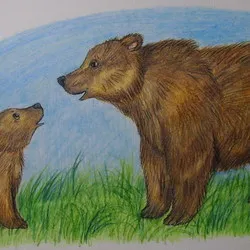 Attól az oldalamon - érdekeit, a kreativitás, hobby - Master Class fokozatos rajz a medve