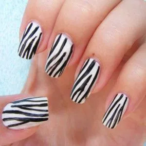 „zebră“ desene alb-negru elegant de manichiură de pe unghii - o fotografie și un exemplu de descriere