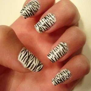 Manikűr „zebra” elegáns fekete-fehér rajzok és a körmökön - egy fénykép és egy leírást példa