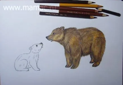Attól az oldalamon - érdekeit, a kreativitás, hobby - Master Class fokozatos rajz a medve