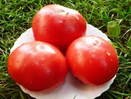 Măștile de rețete tomate pas cu fotografii