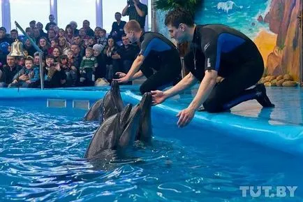 Minsk Delfinárium - nyomában - az állatkertben - a minszki fórum