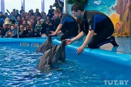 Minsk Delfinariu - Nemo - la grădina zoologică - Forumul Minsk