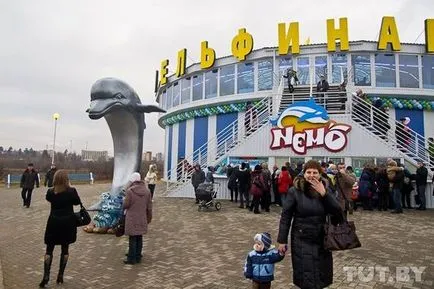 Minsk Delfinárium - nyomában - az állatkertben - a minszki fórum