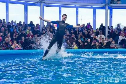 Minsk Delfinariu - Nemo - la grădina zoologică - Forumul Minsk